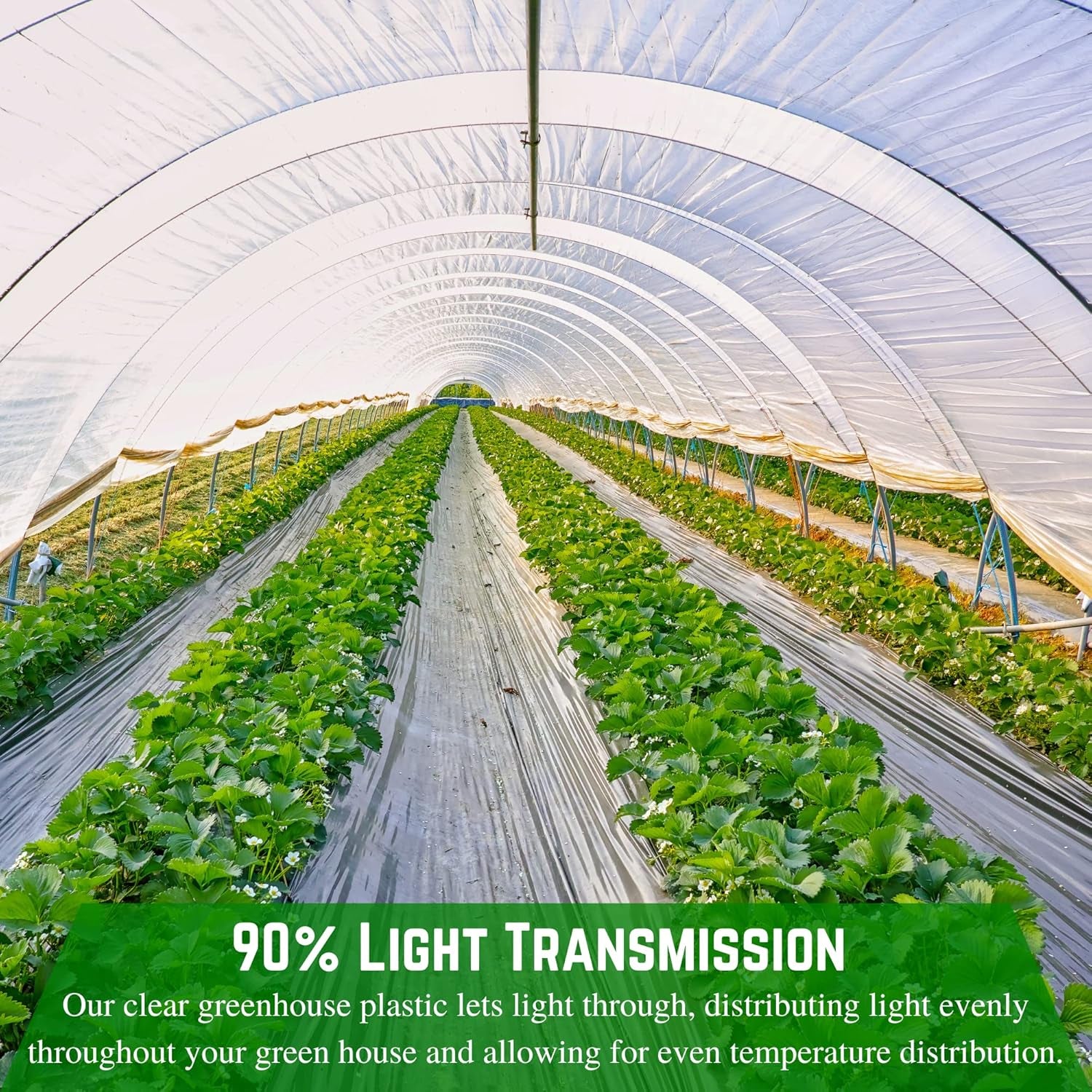 Clear Greenhouse Plastic Sheeting 6 Mil, 16x28 ft UV-Resistant Poly Film Cover 