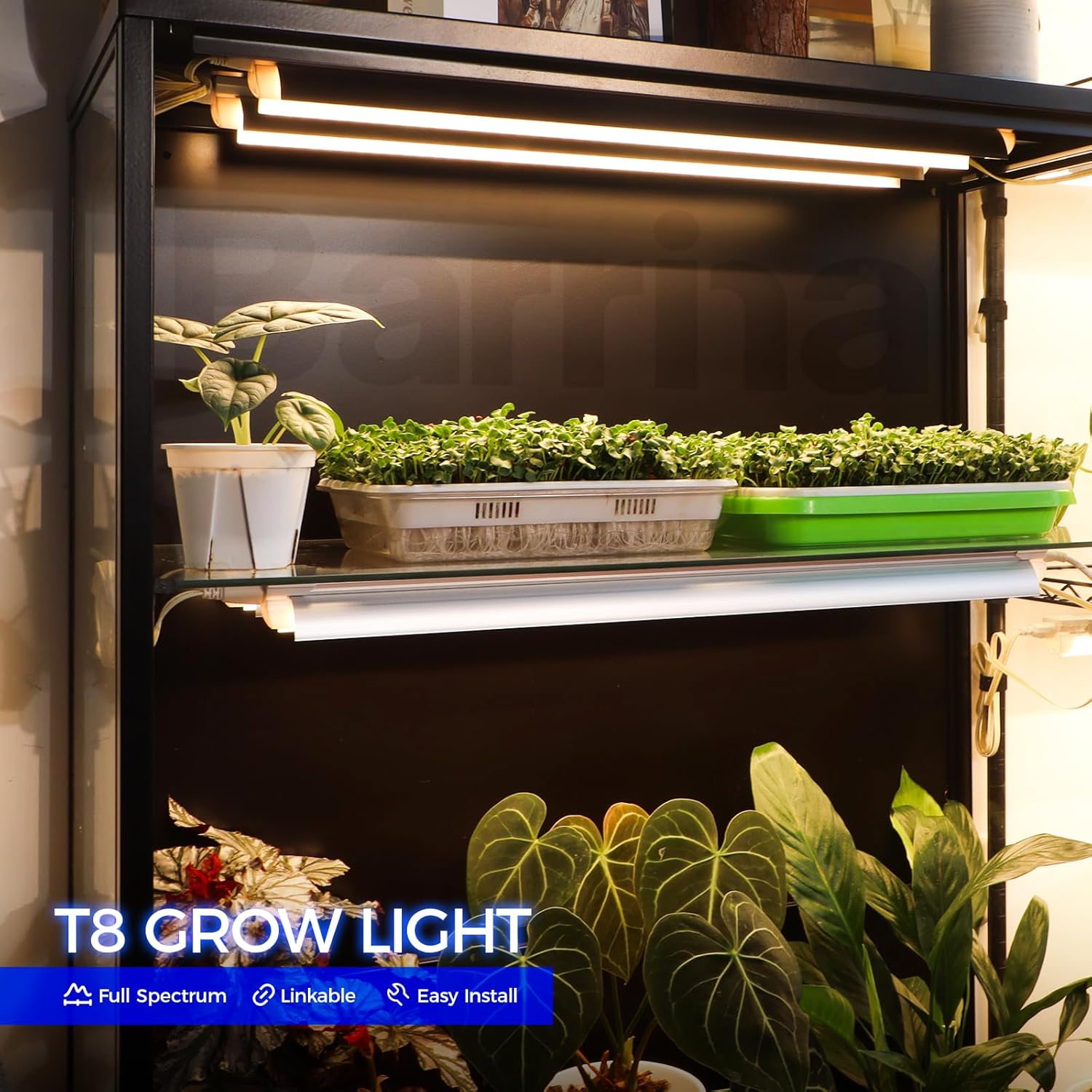 Full Spectrum LED Grow Light 6-Pack, 2Ft T8, 144W Super Bright Indoor Plant Lamps