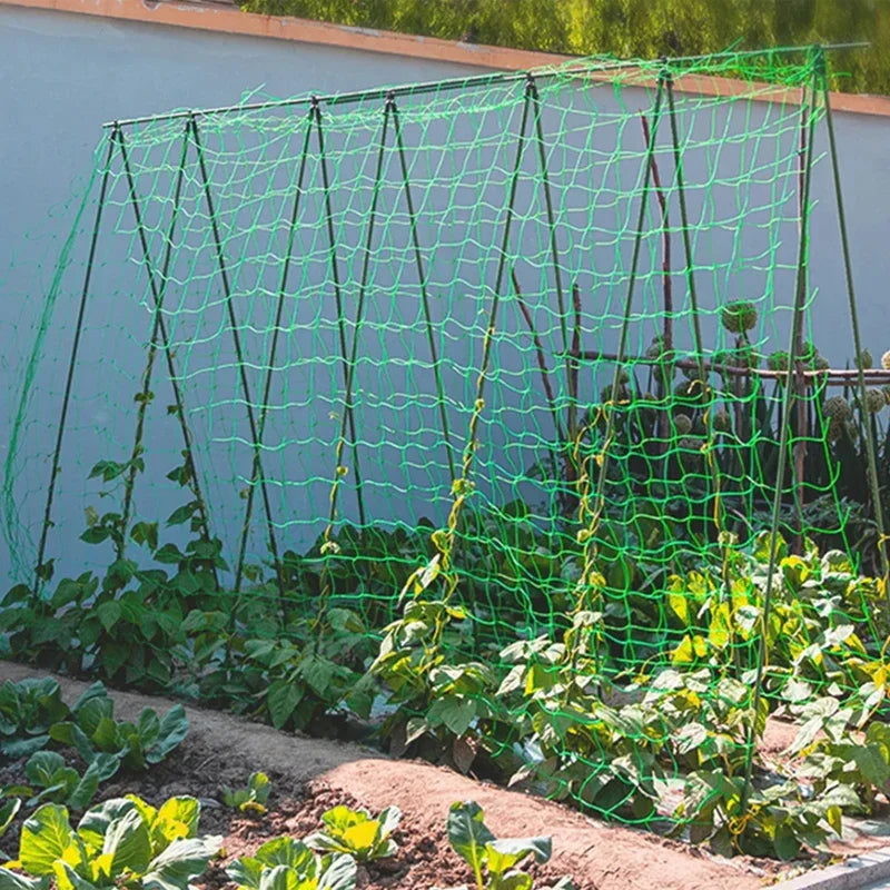 Heavy-Duty Garden Trellis Net – Strong Support for Climbing Plants & Veggies