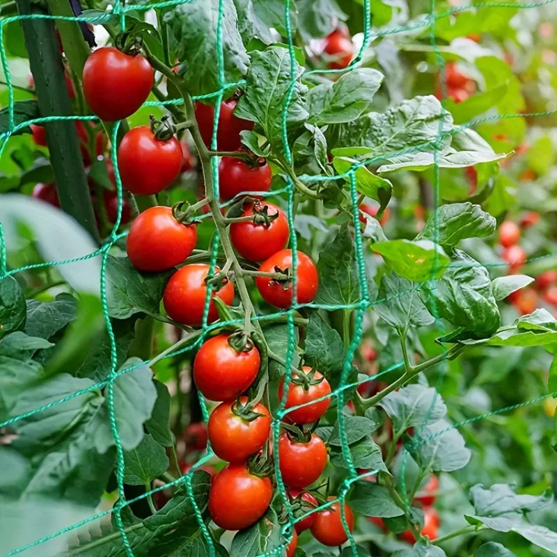 Heavy-Duty Garden Trellis Net – Strong Support for Climbing Plants & Veggies